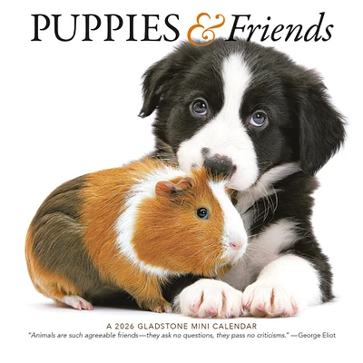 Puppies And Friends Mini  2026 Calendar