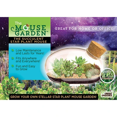 The Succulent Star Mouse Terrarium