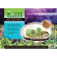 The Succulent Star Mouse Terrarium