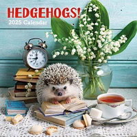 Hedgehogs Wall 2025 Calendar