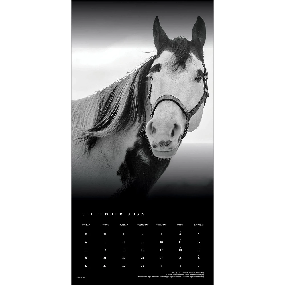 The Noble Horse 2026 Wall Calendar