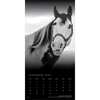 The Noble Horse 2026 Wall Calendar