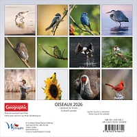 Canadian Geographic Oiseaux 2026 Mini Calendar (French)