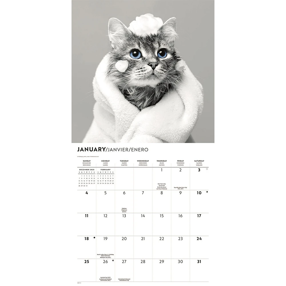 Classic Cats 2026 Wall Calendar