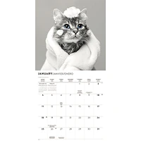 Classic Cats 2026 Wall Calendar