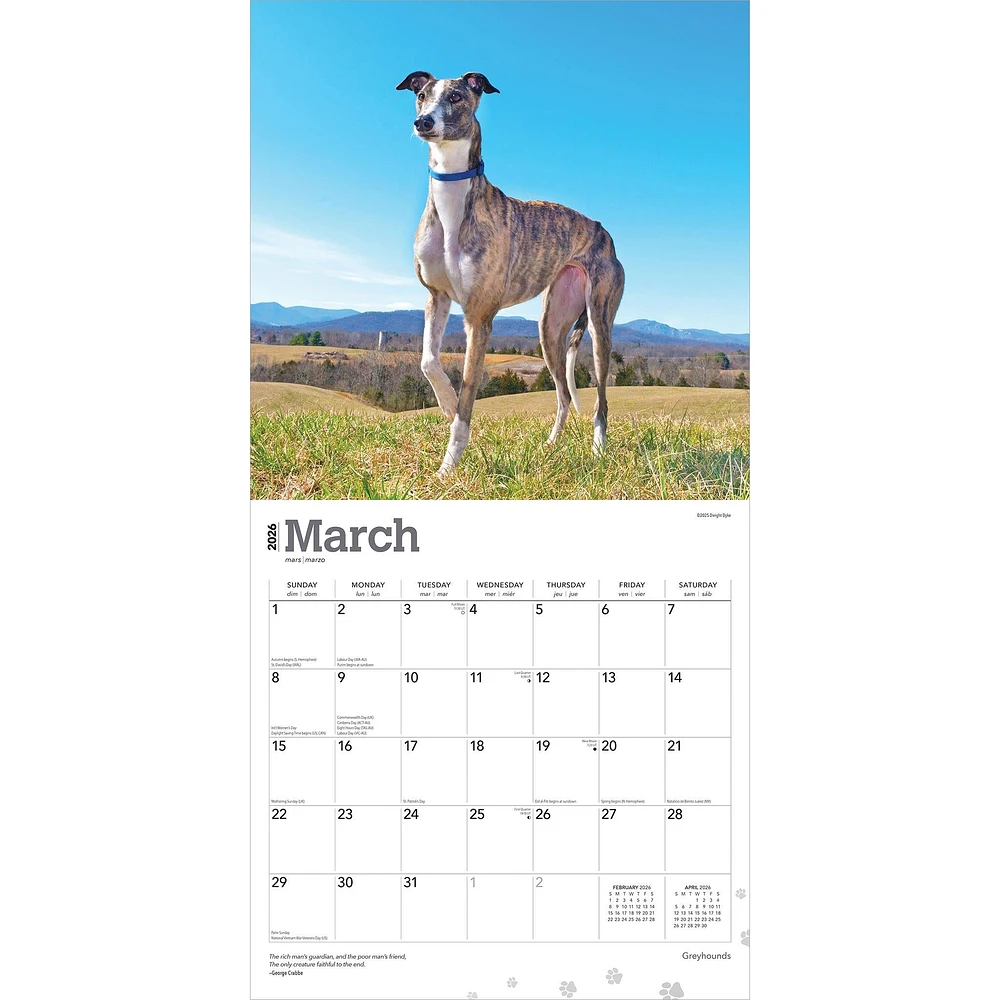 Greyhounds 2026 Wall Calendar