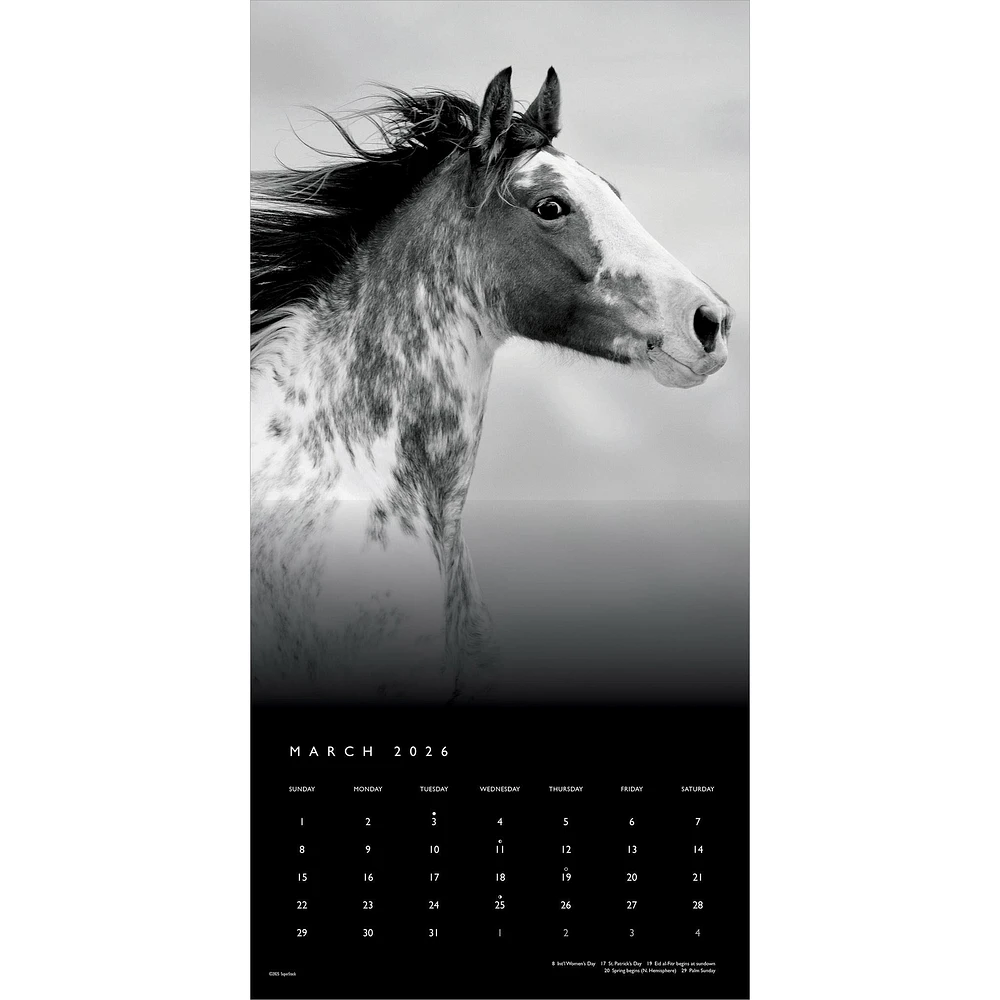 The Noble Horse 2026 Wall Calendar