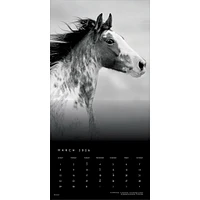 The Noble Horse 2026 Wall Calendar
