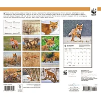 World Wildlife Fund Foxes 2026 Wall Calendar
