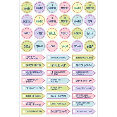 Pregnancy and Babys 1st Year Planner Stickers