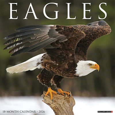 Eagles 2026 Wall Calendar - Online Exclusive