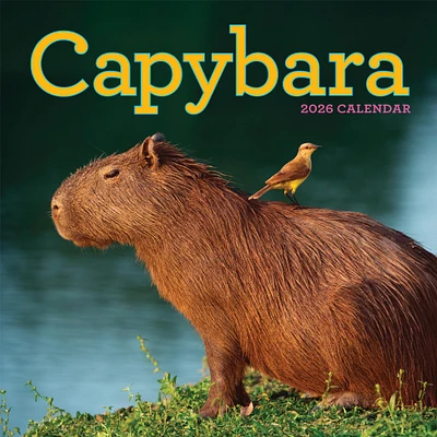 Capybara 2026 Wall Calendar