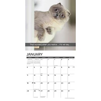 Snapcats 2026 Wall Calendar