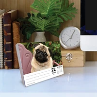 Just Pugs 2026 Box Calendar - Online Exclusive