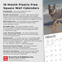 Australian Cattle Dogs Wall 2025 Calendar