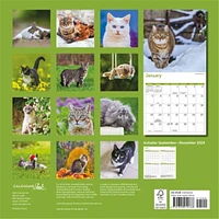 Cats Wall 2025 Calendar