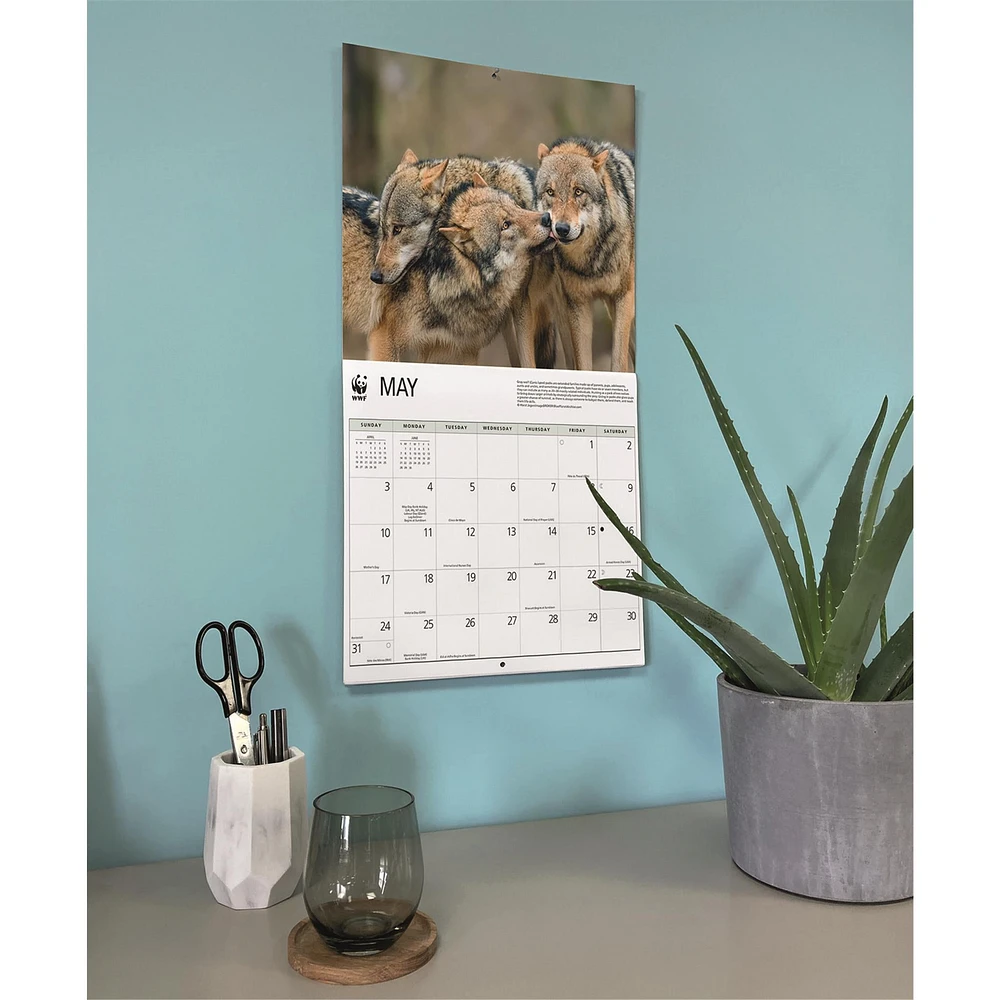 World Wildlife Fund Wolves 2026 Wall Calendar