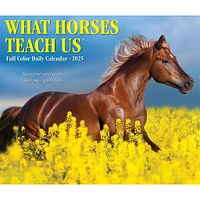 What Horses Teach Us Box 2025 Calendar