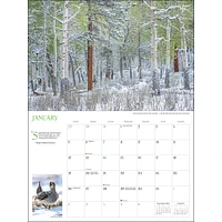 Into The Woods Oversized Wall 2025 Calendar