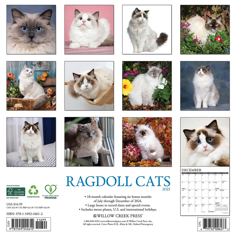 Ragdoll Cats Wall 2025 Calendar