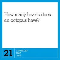 Amazing Trivia 365 2026 Box Calendar