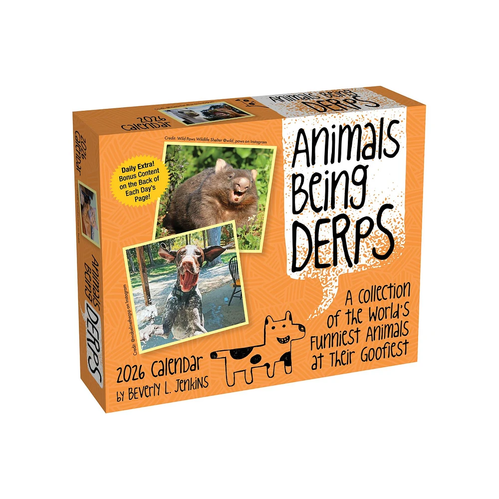Animals Being Derps 2026 Box Calendar