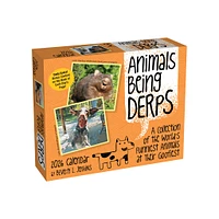 Animals Being Derps 2026 Box Calendar