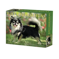 Just Chihuahuas Box 2025 Calendar - Online Exclusive