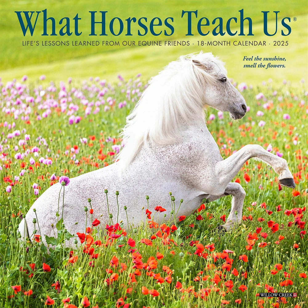 What Horses Teach Us Mini 2025 Calendar