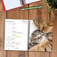 What Cats Teach Us Engagement 2025 Calendar