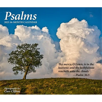 Psalms Deluxe Wall 2025 Calendar