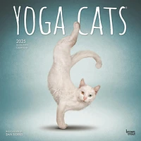 Yoga Cats Wall 2025 Calendar