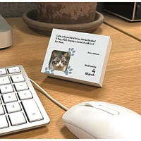 Cats 2026 Small Box Calendar