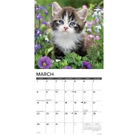 Just Kittens 2026 Wall Calendar
