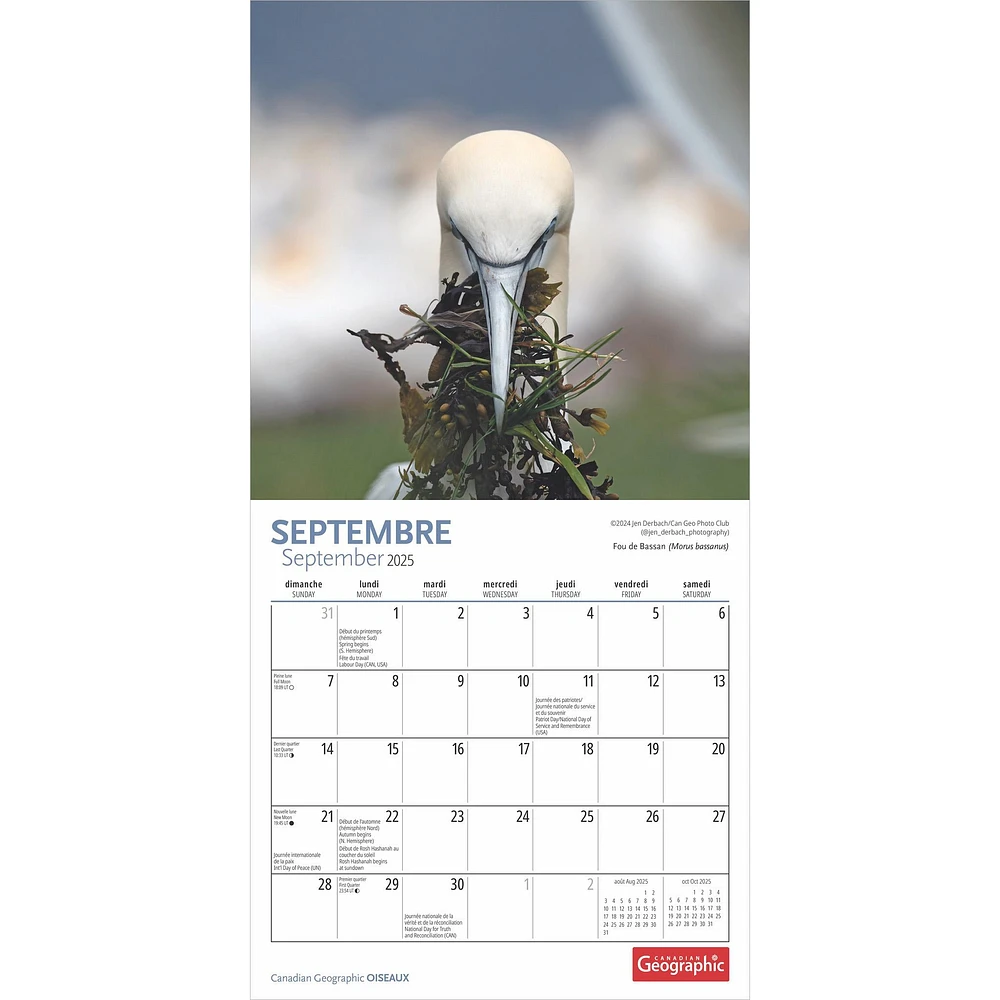 Canadian Geographic Oiseaux Mini 2025 Calendar (French)