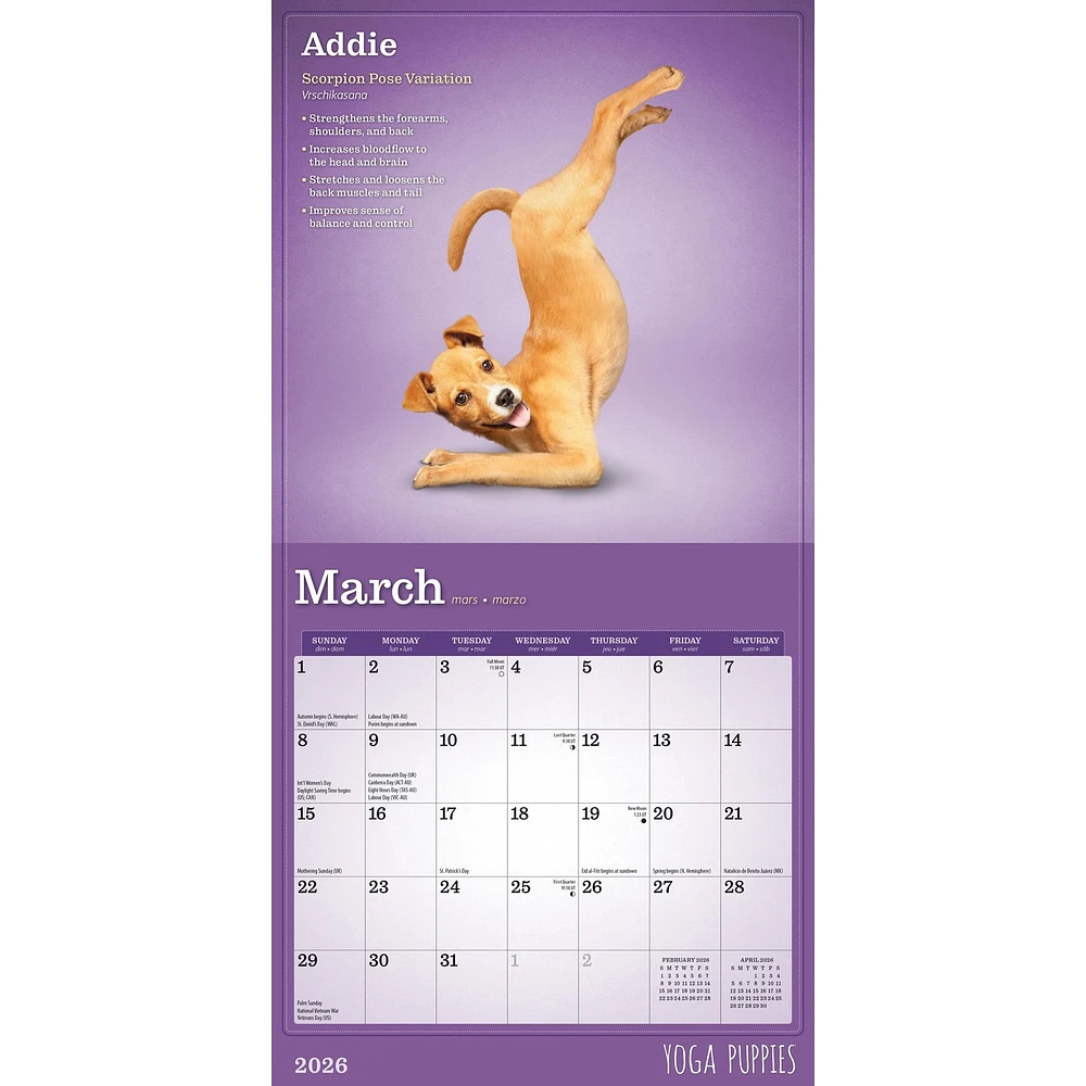 Yoga Puppies 2026 Mini Calendar