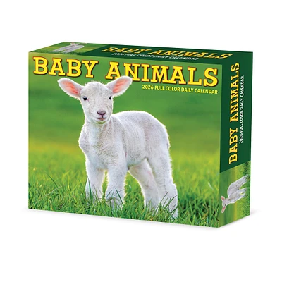 Baby Animals 2026 Box Calendar - Online Exclusive