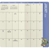 Gary Patterson Cats 2026 2 Yr Pocket Planner Calendar - Online Exclusive