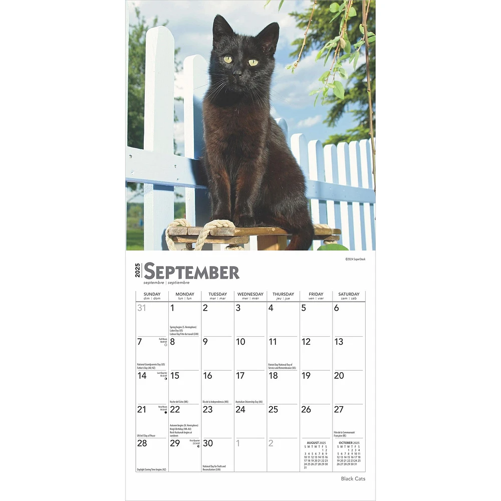 Black Cats Mini 2025 Calendar