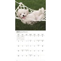 Puppy Love 2026 Wall Calendar