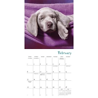 Pooped Puppies 2026 Mini Calendar