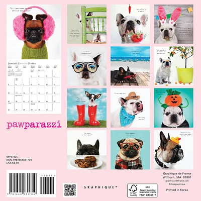 Pawparazzi Mini 2025 Calendar