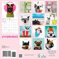 Pawparazzi Mini 2025 Calendar