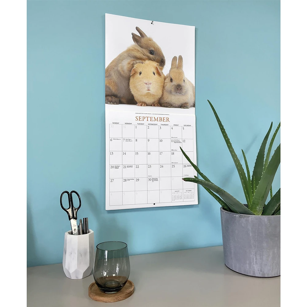Bunnies And Friends 2026 Wall Calendar