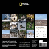 Wolves National Geographic Wall 2025 Calendar