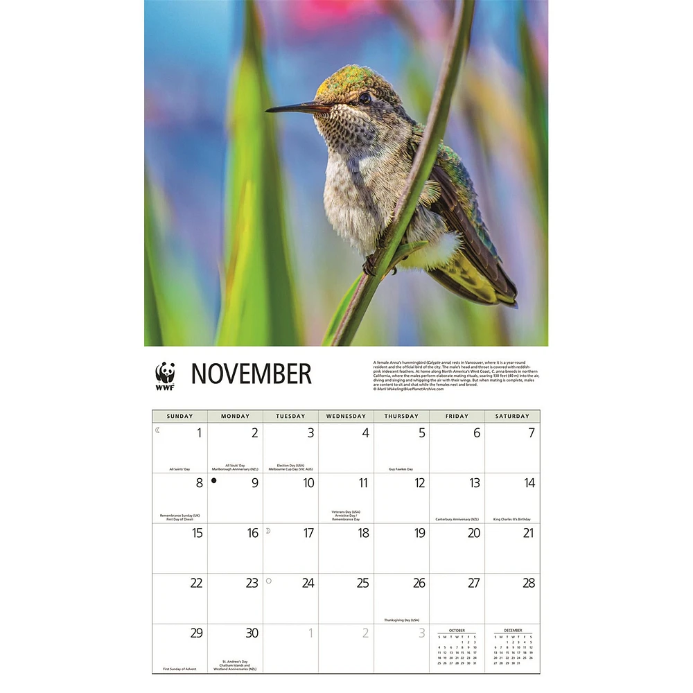 World Wildlife Fund Hummingbirds 2026 Wall Calendar