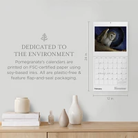 Owls Jeannine Chappell 2026 Wall Calendar