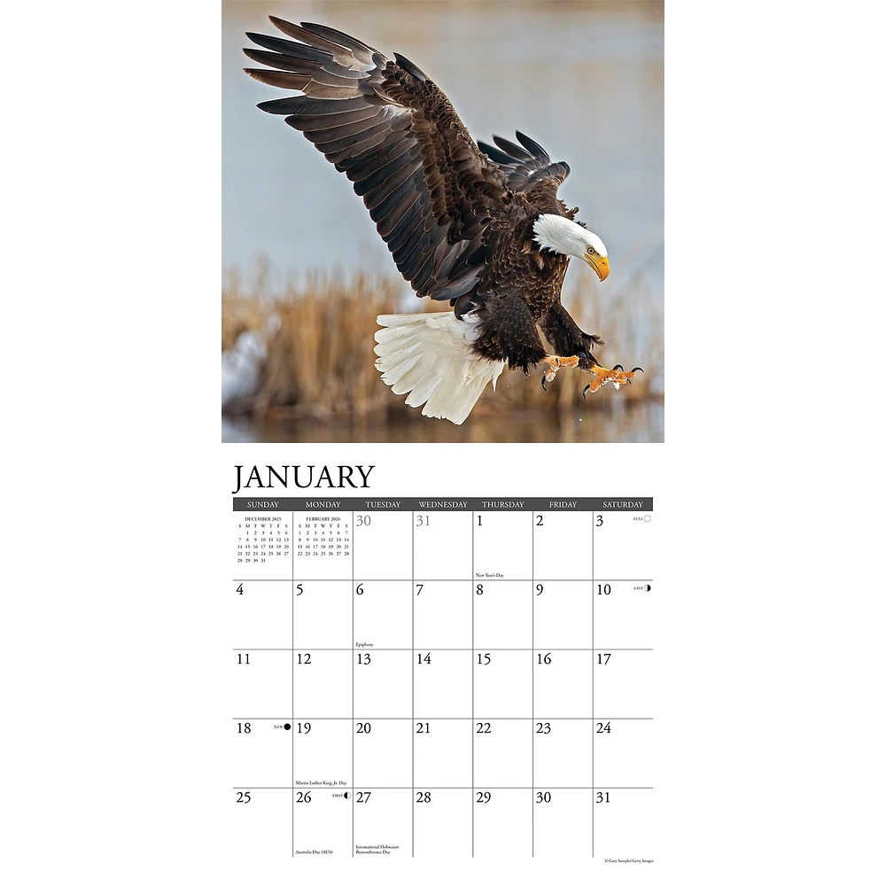 Eagles 2026 Wall Calendar - Online Exclusive