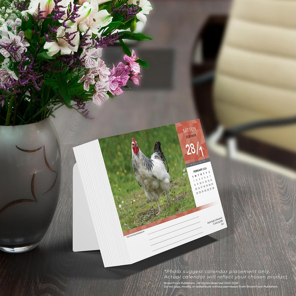 Chickens 2026 Box Calendar - Online Exclusive