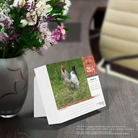 Chickens 2026 Box Calendar - Online Exclusive